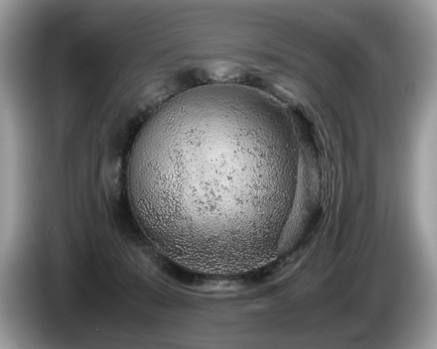 X0000087580319200704271310