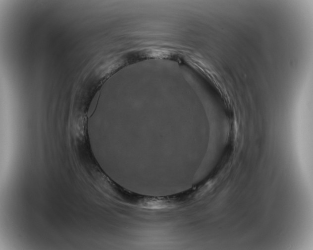 X0000087580325200704271309