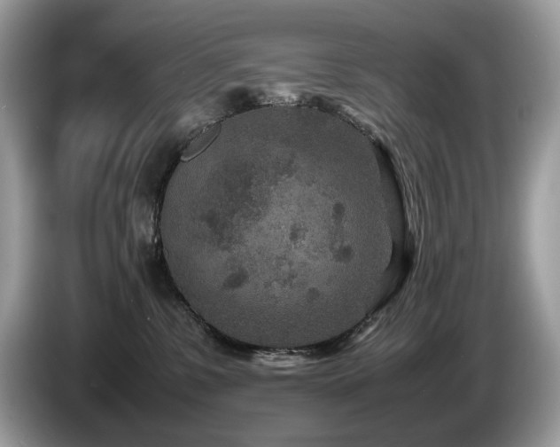 X0000087580331200704271309