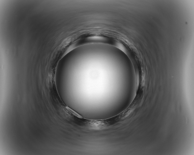 X0000087580333200704271309