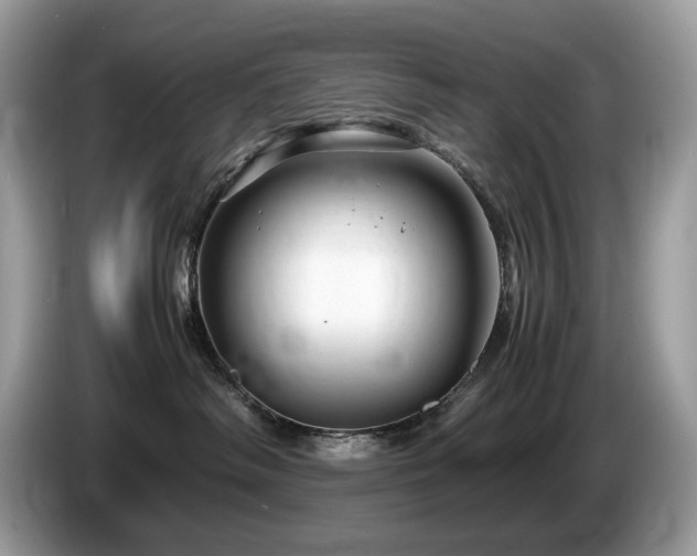 X0000087580334200704271309
