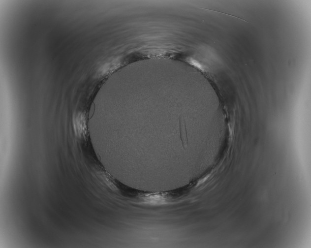 X0000087580335200704271309