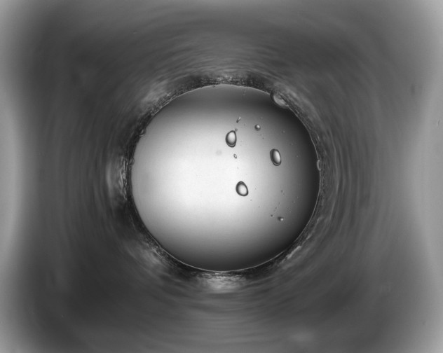 X0000087580336200704271309
