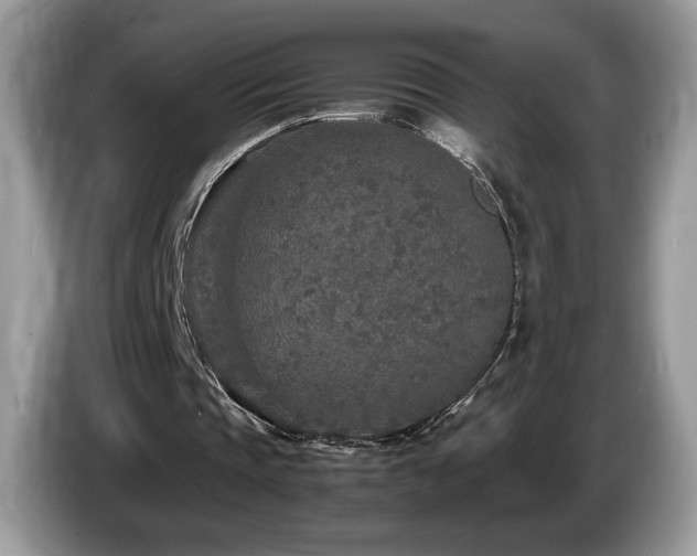 X0000087580337200704271309