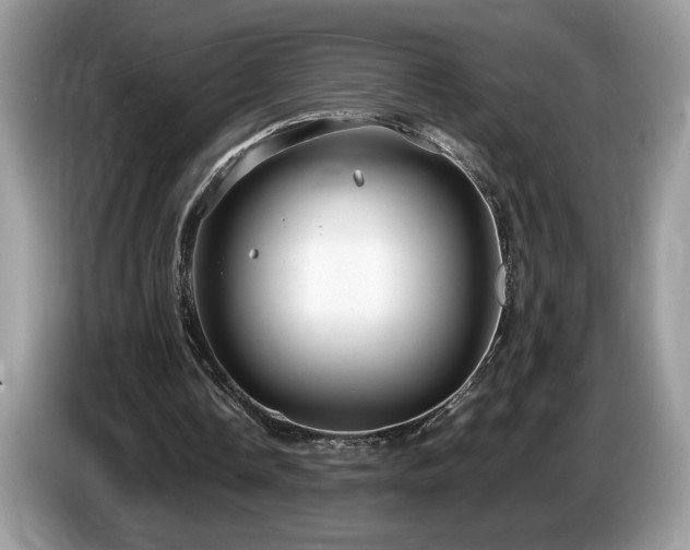 X0000087580338200704271309