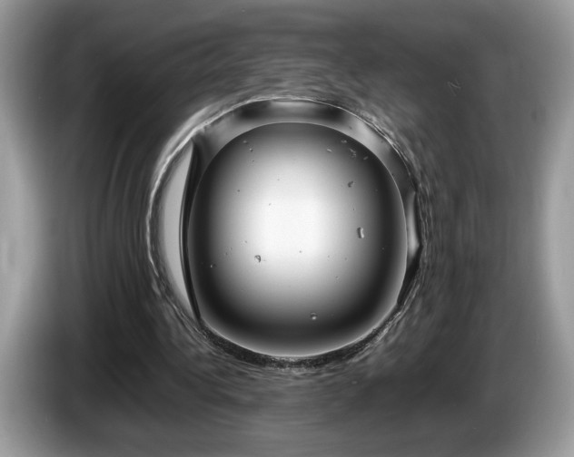 X0000087580340200704271309