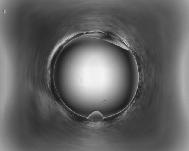 X0000087580342200704271309