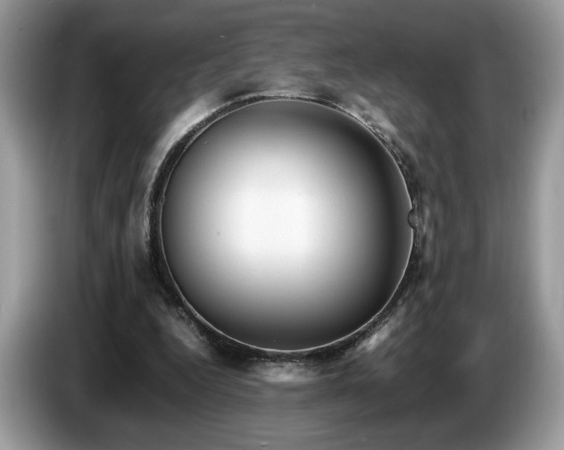 X0000087580344200704271309