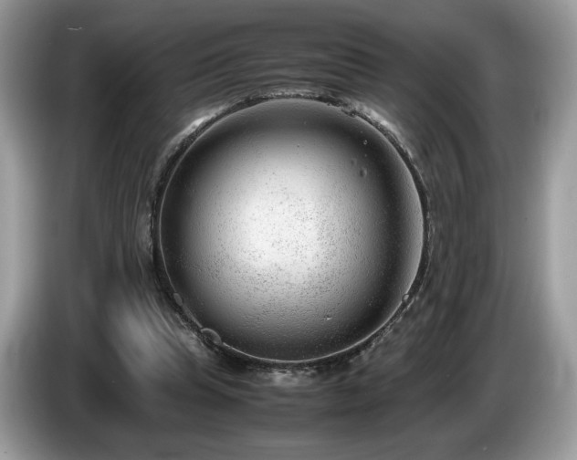 X0000087580345200704271309
