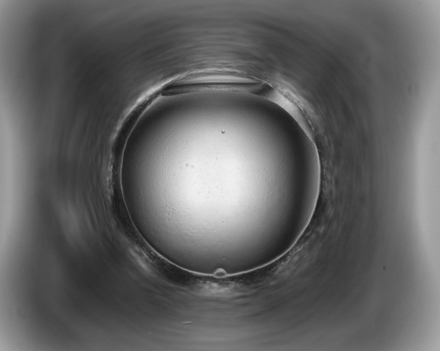X0000087580346200704271309