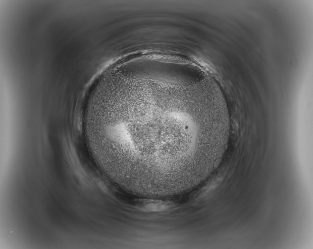 X0000087580347200704271309