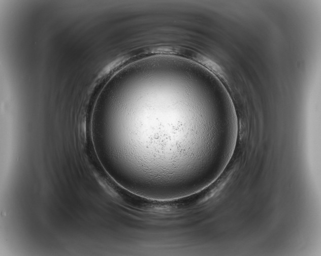 X0000087580349200704271309