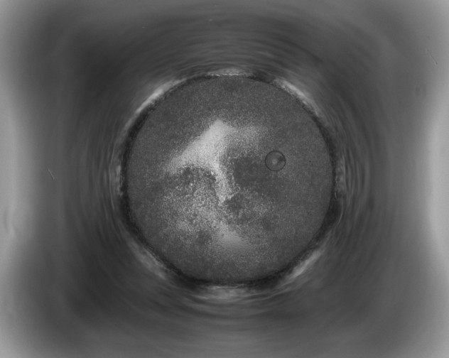 X0000087580351200704271309