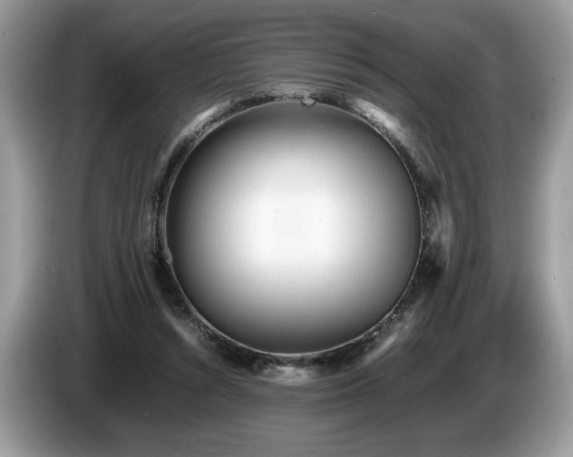 X0000087580352200704271309