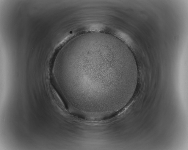 X0000087580354200704271309
