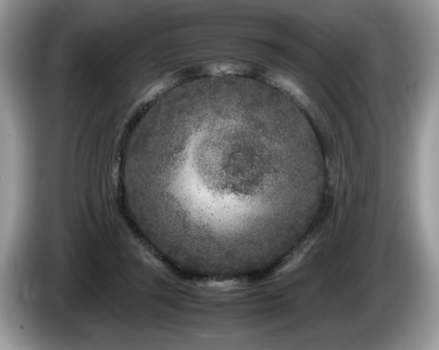 X0000087580357200704271309
