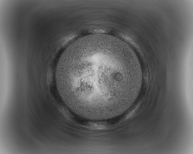 X0000087580359200704271309