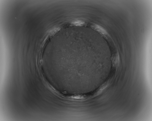 X0000087580365200704271309