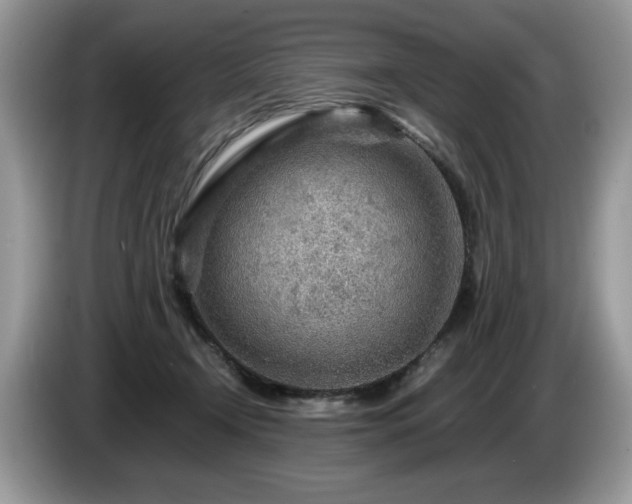 X0000087580366200704271309