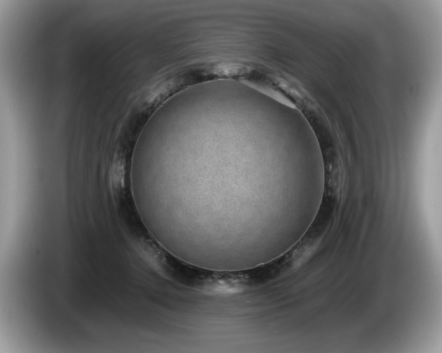 X0000087580368200704271309