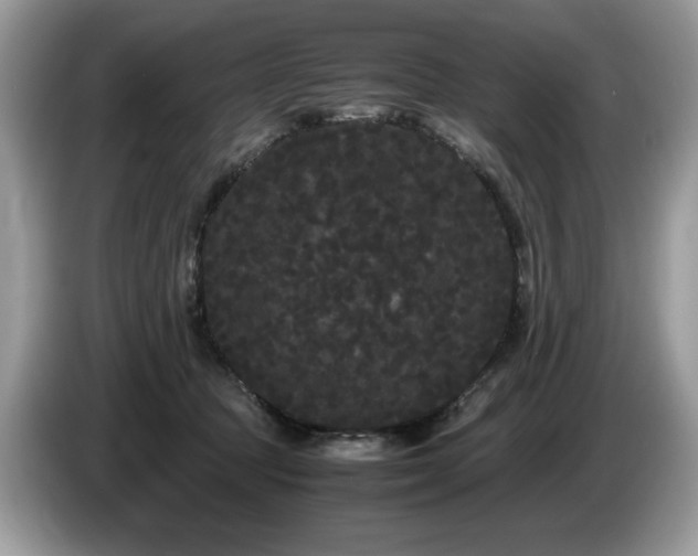 X0000087580369200704271309