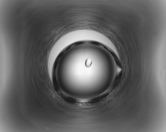 X0000087580372200704271309