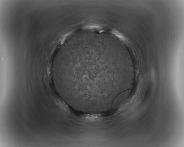 X0000087580373200704271309
