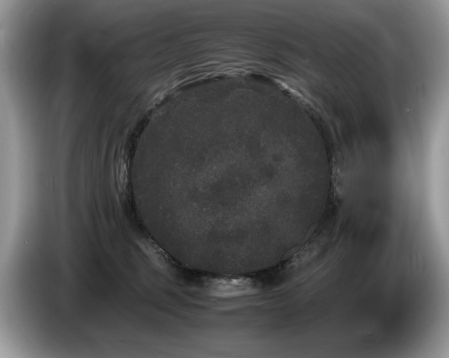 X0000087580375200704271309