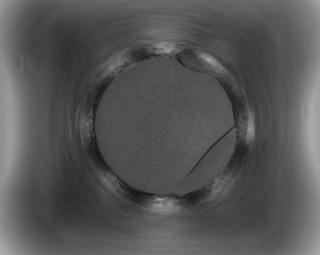 X0000087580376200704271309