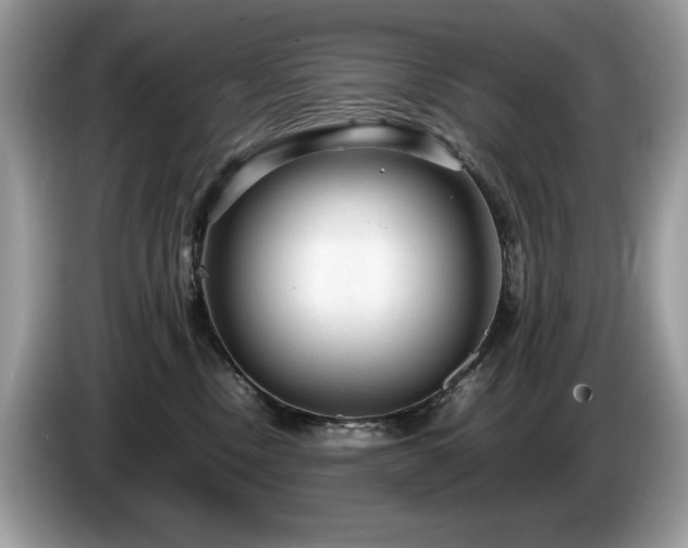 X0000087580378200704271309