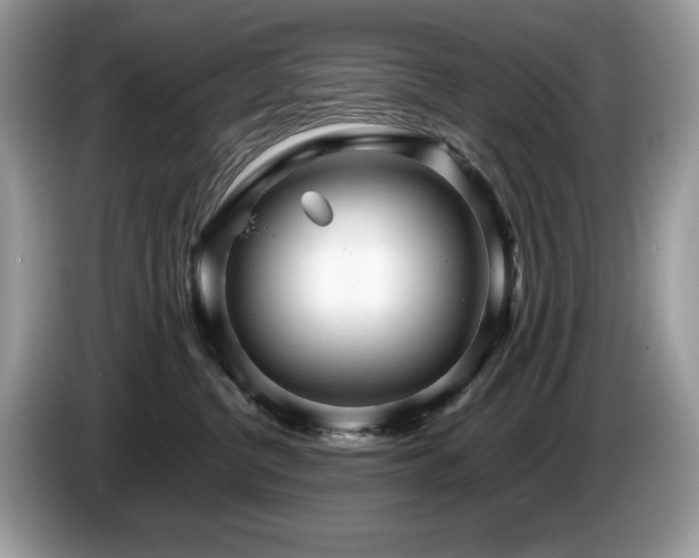 X0000087580380200704271309