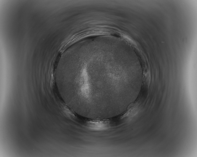 X0000087580381200704271309