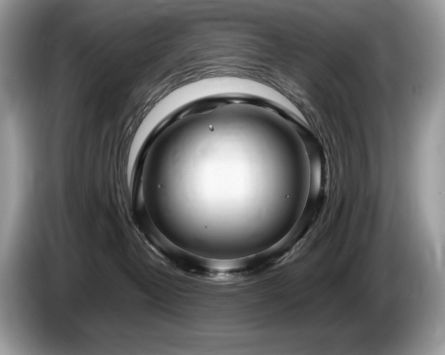 X0000087580382200704271309