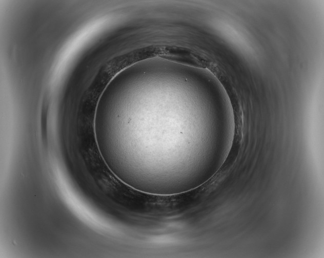 X0000087580383200704271309