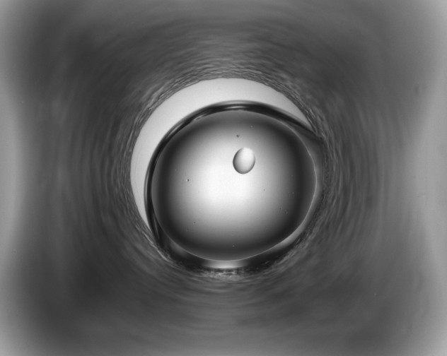 X0000087580384200704271309