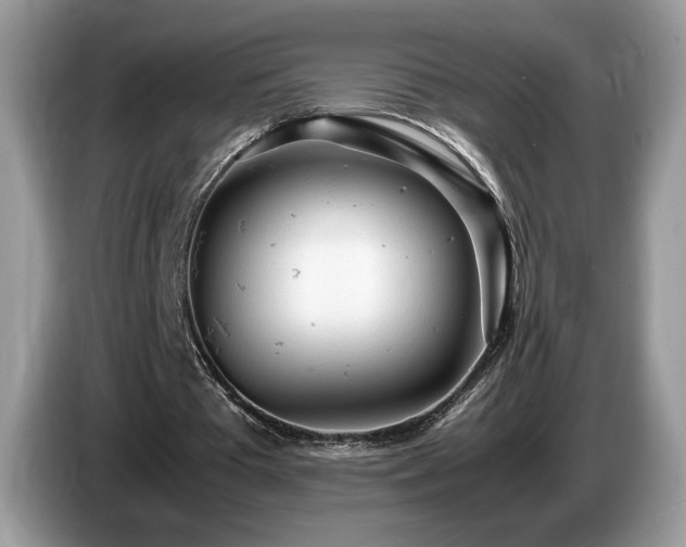 X0000087580385200704271309