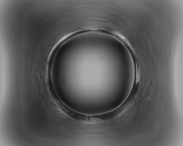 X0000087580387200704271309