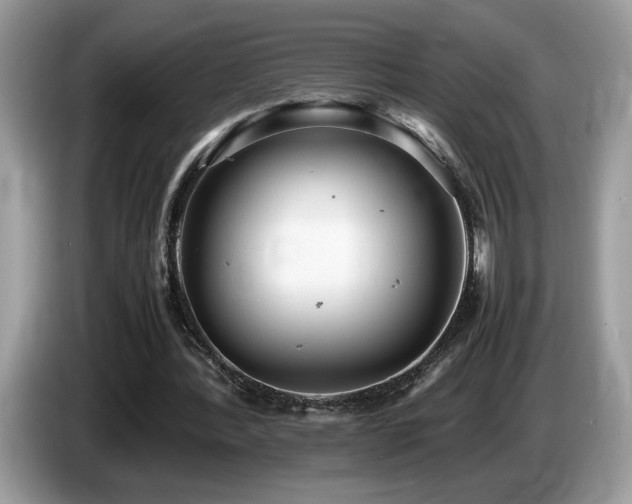 X0000087580388200704271309