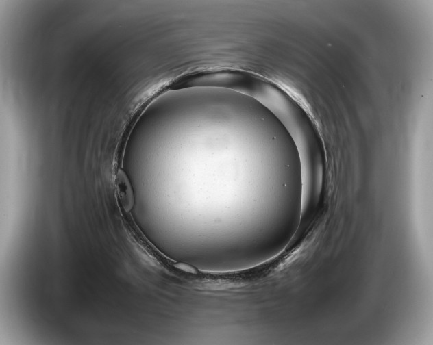 X0000087580389200704271309