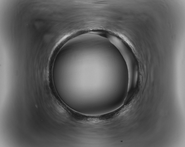 X0000087580391200704271309