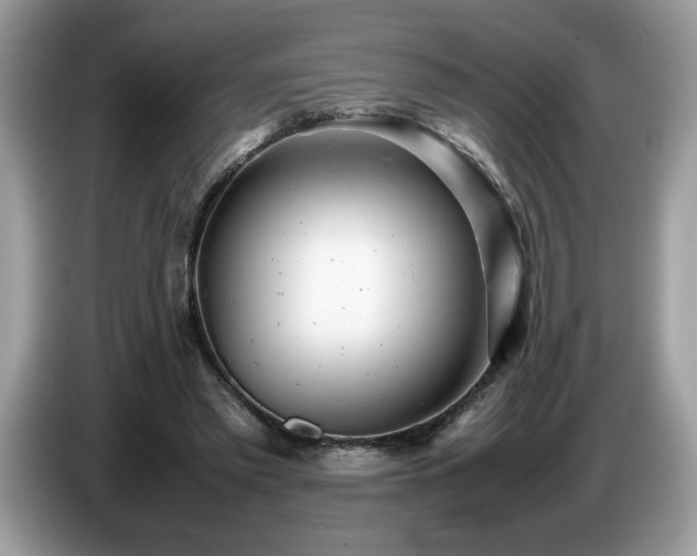 X0000087580397200704271309