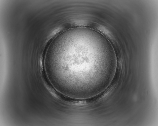 X0000087580398200704271309