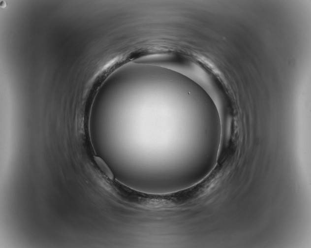 X0000087580399200704271309