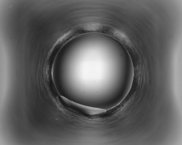 X0000087580400200704271309