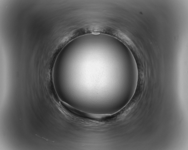 X0000087580401200704271309