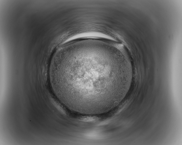 X0000087580402200704271309