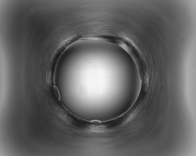 X0000087580403200704271309