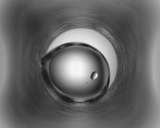 X0000087580405200704271309