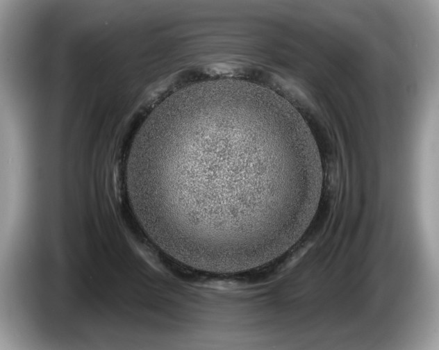 X0000087580408200704271308