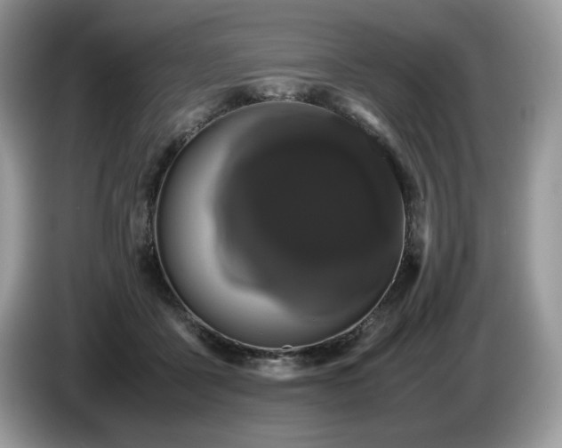 X0000087580411200704271308